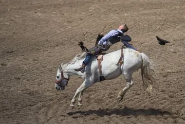 A Cowboy Riding a White Horse , Calgary, AB, Canada