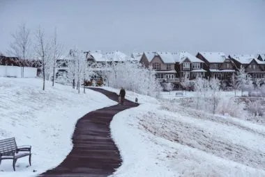 A Pathway between Snow-Covered Ground