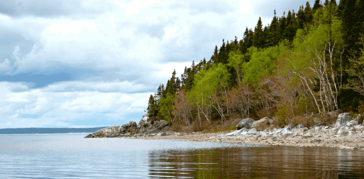 Gander, Newfoundland & Labrador