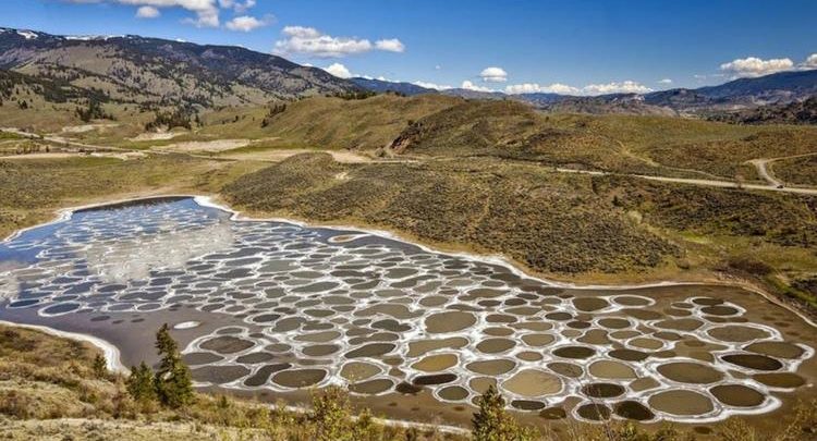 Spotted Lake, British Columbia