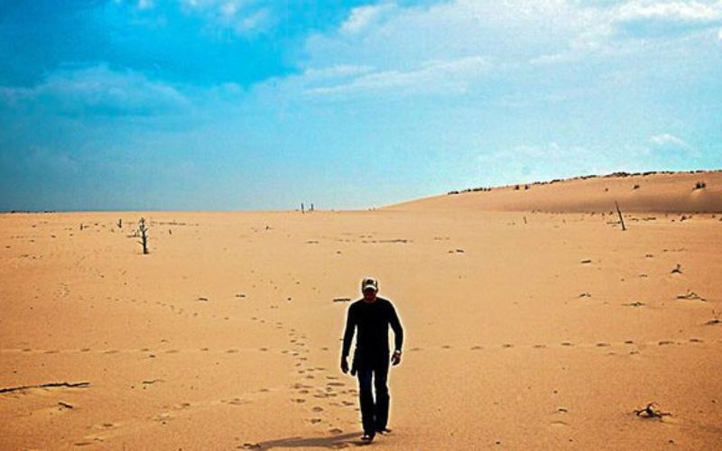 Athabasca Sand Dunes Saskatchewan