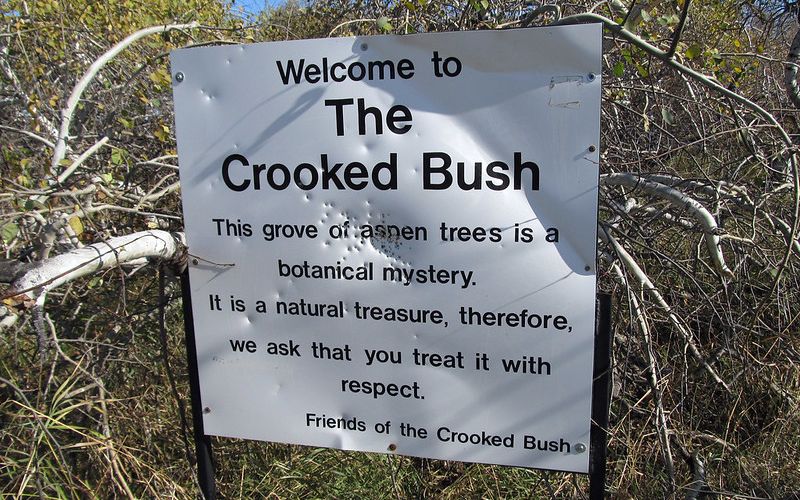 Crooked Bush, Saskatchewan
