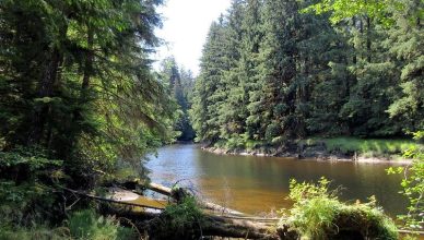 Yakoun River, Haida Gwaii, British Columbia