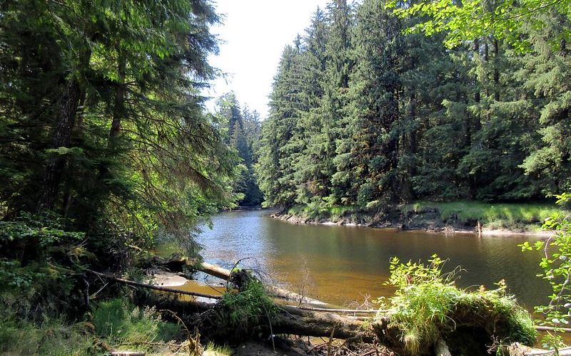 Yakoun River Haida Gwaii British Columbia