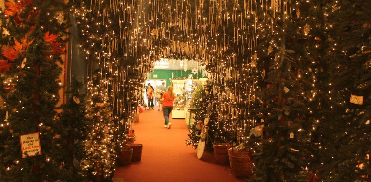 Christmas-in-Bay-Roberts-Newfoundland