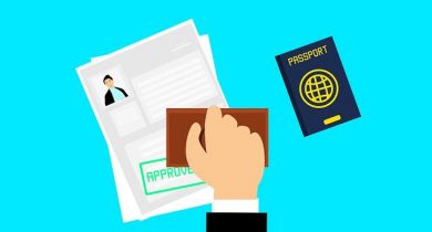 Approved Visa
