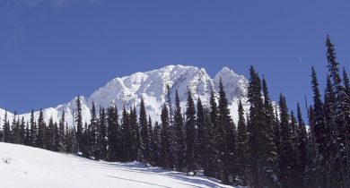 whistler