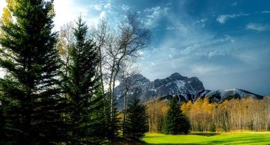 alberta in canada