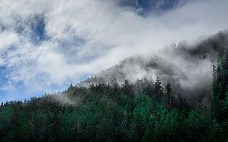 Haida Gwaii 